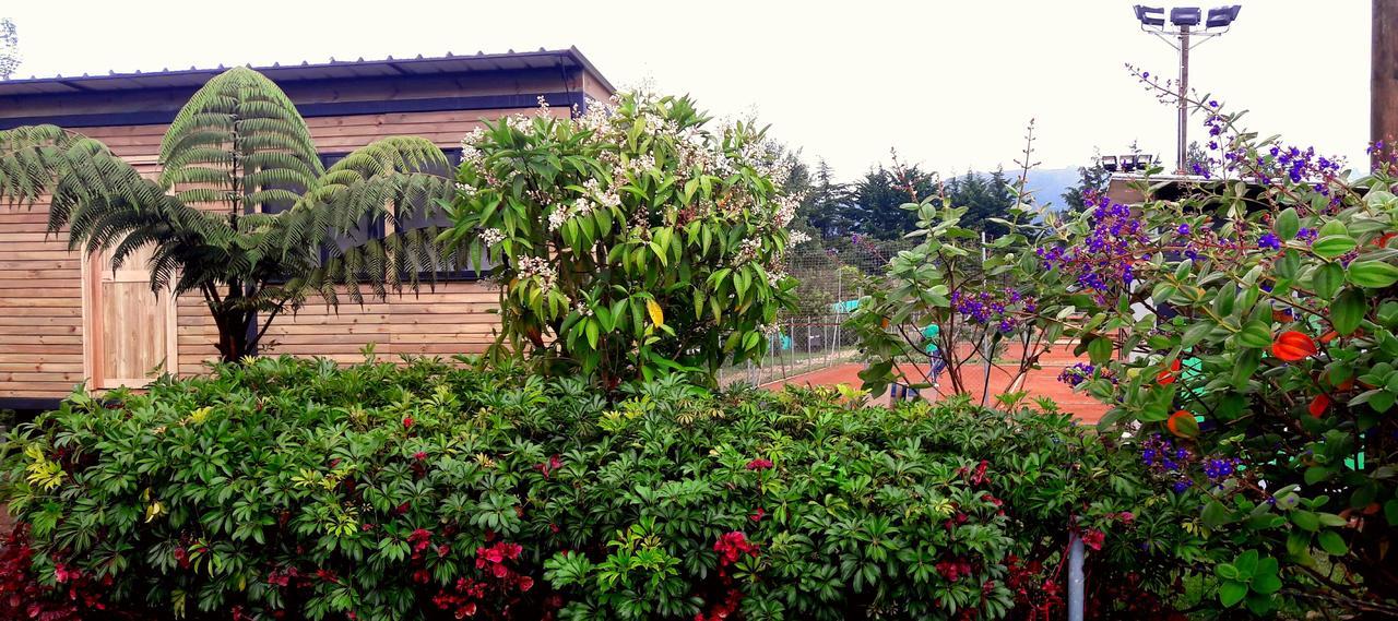 Star Center Hotel Boutique Rionegro Eksteriør billede